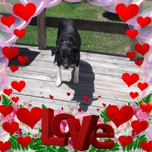 Meet your Posher, Patricia